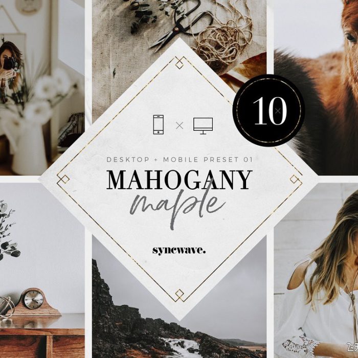 [人像LR预设]红褐色胶片人像Lightroom预设预设/移动lr预设 Mahogany & Maple Lightroom Presets