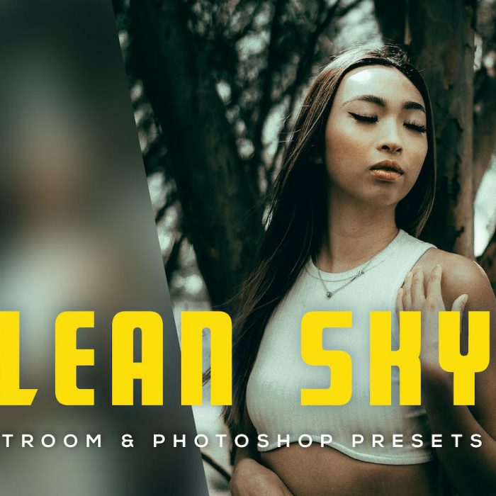 [人像LR预设]户外街拍电影人像Lightroom预设 Clean Sky Lightroom Presets