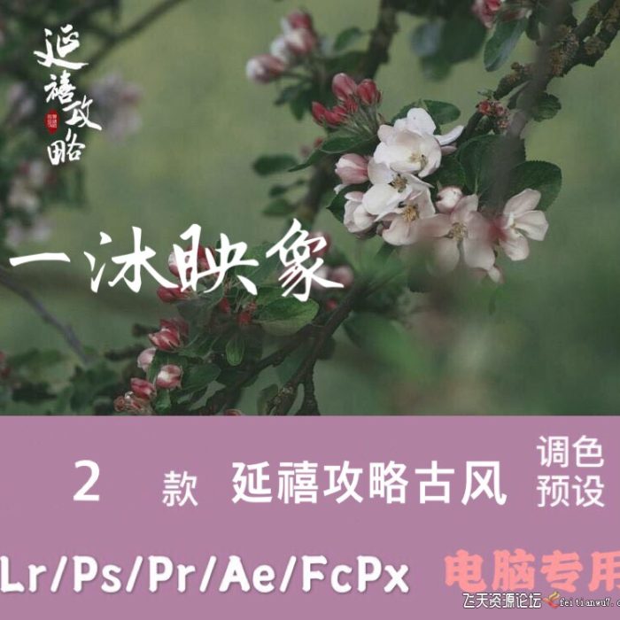 [人像LR预设]延禧攻略LR和ACR预设