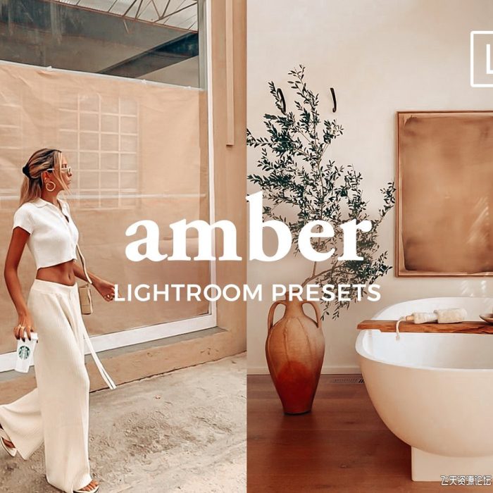[人像LR预设]琥珀色家庭人像后期调色Lightroom预设 Lightroom Presets AMBER