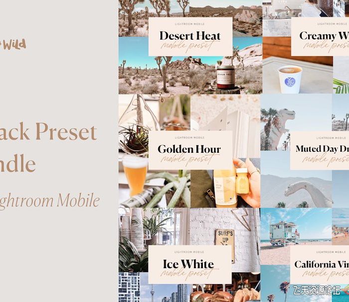 [手机版lr预设]设计师Forth and Wild六套手机版LR预设合集 6 Pack Lightroom Preset Bundle
