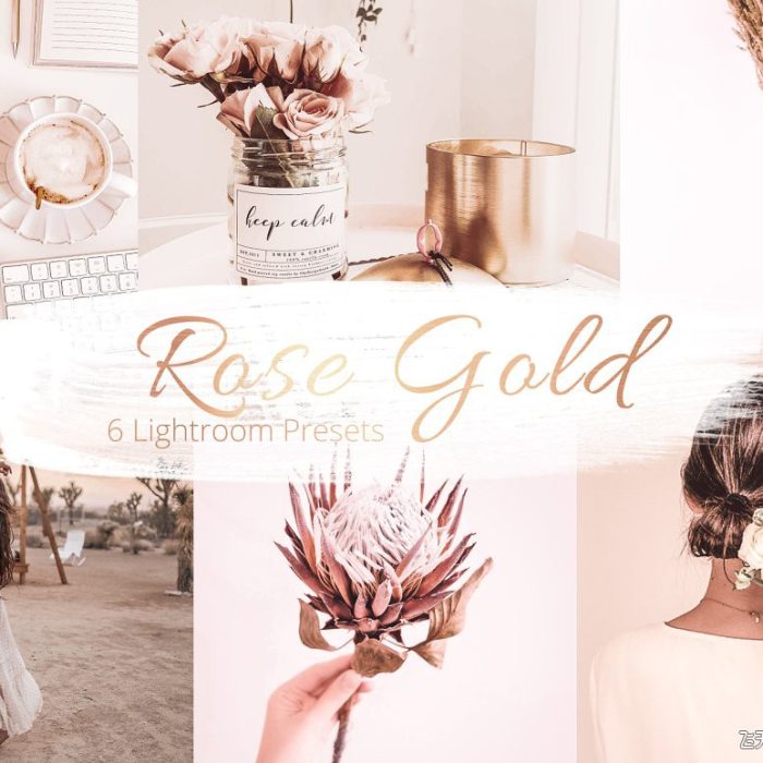 [人像LR预设]玫瑰金系列高级人像Lightroom预设 Rose Gold Collection – Lr Presets