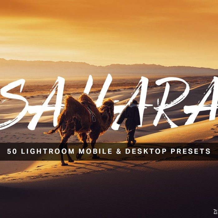 [旅拍LR预设]沙漠通透旅拍风LR预设+3DLUT预设 Sahara Lightroom Presets and LUTs