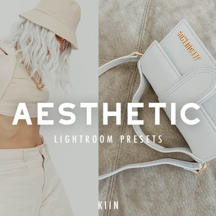 [人像LR预设]Ins博客经典裸色人像LR预设/手机版APP预设 AESTHETIC LIGHTROOM PRESETS