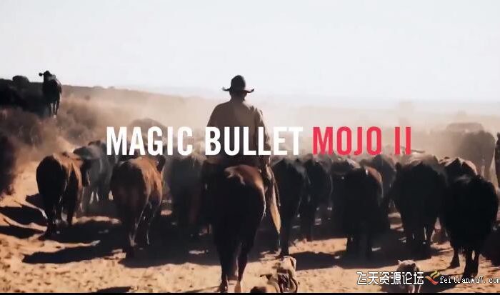 [AE插件]Red Giant Magic Bullet Suite 红巨星调色套装 V2023.2.1 Win破解版