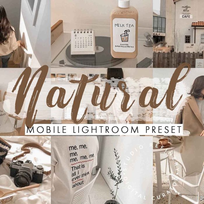 [人像LR预设]莫兰迪系列灰色系LR预设+移动APP预设Natural Clean Lightroom Presets