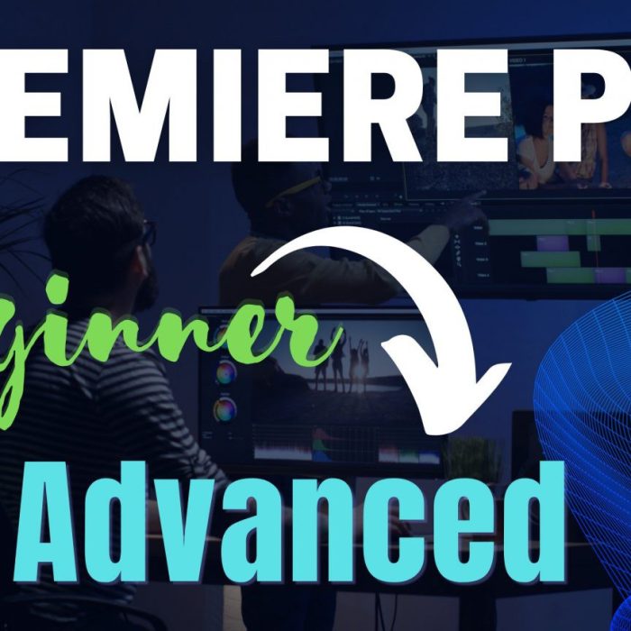 [Premiere教程]Premiere Pro 2021：Momo FX 的 2 天大师班从初级到高级教程