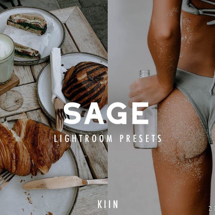 [胶片LR预设]12个INS风格电影胶片Lightroom预设 12 SAGE LIGHTROOM PRESETS