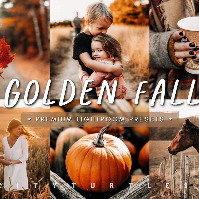 [人像LR预设]温暖人像后期调色Lightroom预设GOLDEN FALL Rustic Warm Lightroom Presets