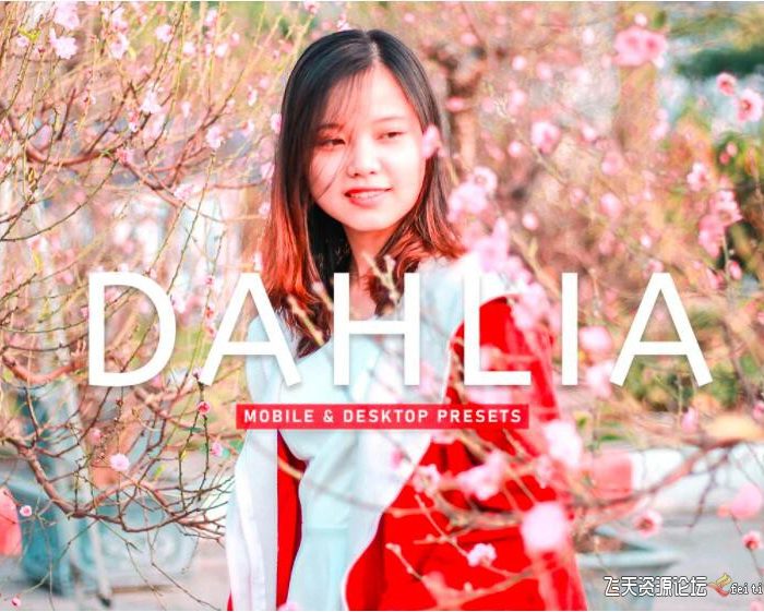 [人像LR预设]古装电影胶片人像后期调色Lightroom预设 Dahlia Pro Lightroom Presets