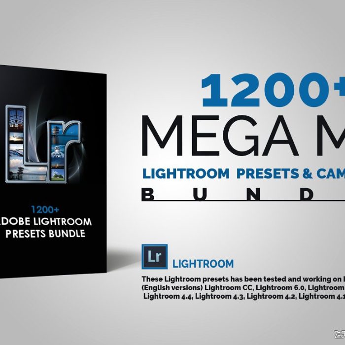 [人像LR预设]1200组摄影师Lightroom预设工具包 1200 Mega Mix Lightroom Presets