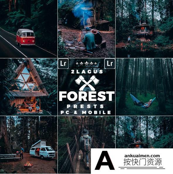 [旅拍LR预设]旅拍森系人文胶片LR预设/手机修图LR预设Forest Moody-Travel Presets