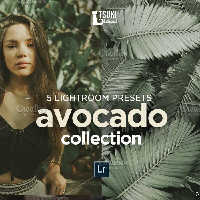 [胶片LR预设]油润徕卡森系电影胶片Lightroom预设 AVOCADO Lightroom Presets