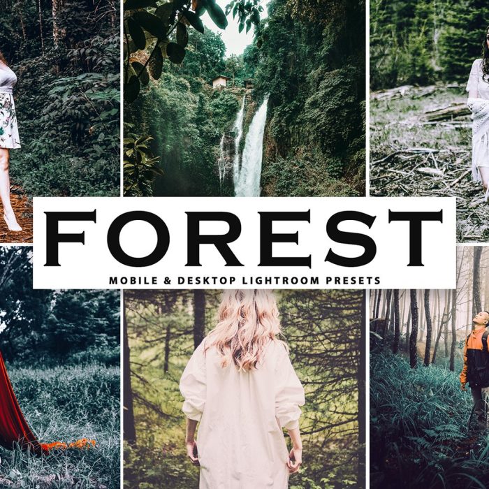 [人像LR预设]梦幻森系电影胶片冷色调人像Lightroom预设+手机版APP滤镜