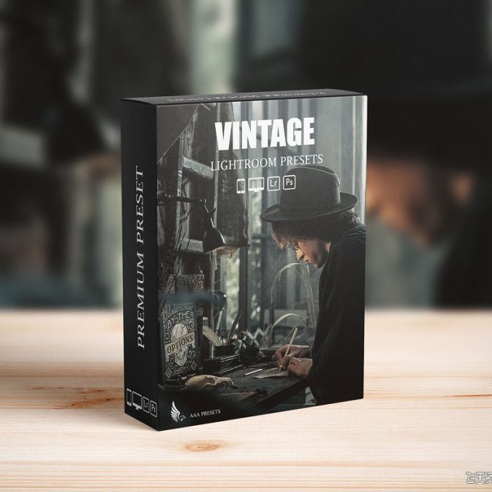 [胶片LR预设]复古电影情绪色调后期调色Lightroom预设 Vintage Lightroom Presets
