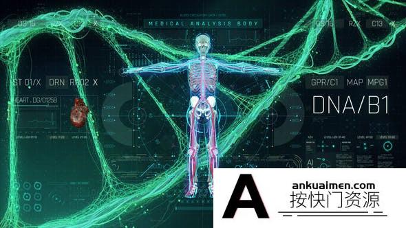 [HUD模板]AE模板-科技感医疗人体医学HUD DNA大脑心脏科幻元素UI动画元素