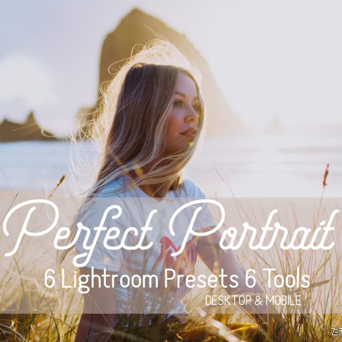 [人像LR预设]室内外完美人像Lightroom预设|手机APP滤镜 Perfect Portrait Lightroom Presets