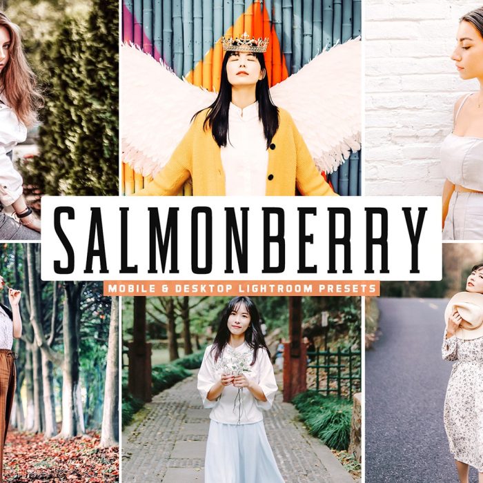 [人像LR预设]旅拍温暖奶油人像LR预设+移动APP预设Salmonberry Lightroom Presets