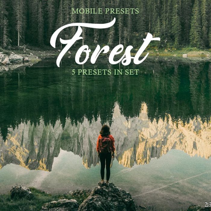 [胶片LR预设]森系旅拍电影胶片色调LR预设/移动APP预设 Forest Mobile Presets