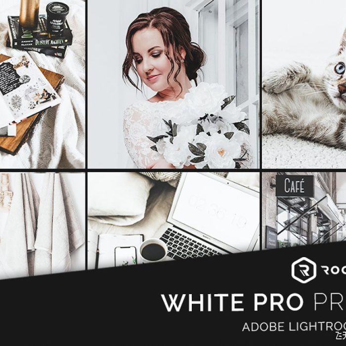 [人像LR预设]中性灰白色调居家人像产品摄影Lightroom预设/APP预设 WHITE PRO Presets