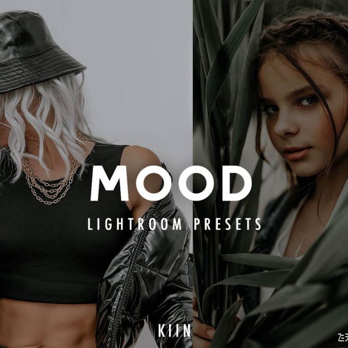 [人像LR预设]黑暗情绪人像INS风格Lightroom预设APP滤镜 Moody Instagram Lightroom Presets