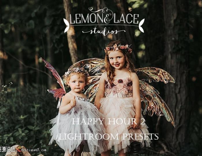 [新生儿童预设]家庭儿童欢乐时光第二季Lightroom预设+手机版LR预设 Happy Hour 2