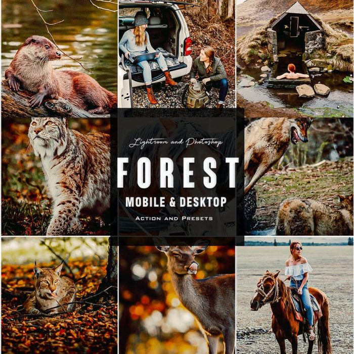 [旅拍LR预设]森林心情-野生动物摄影后期调色Lightroom预设 Forest Mood – Lightroom Presets