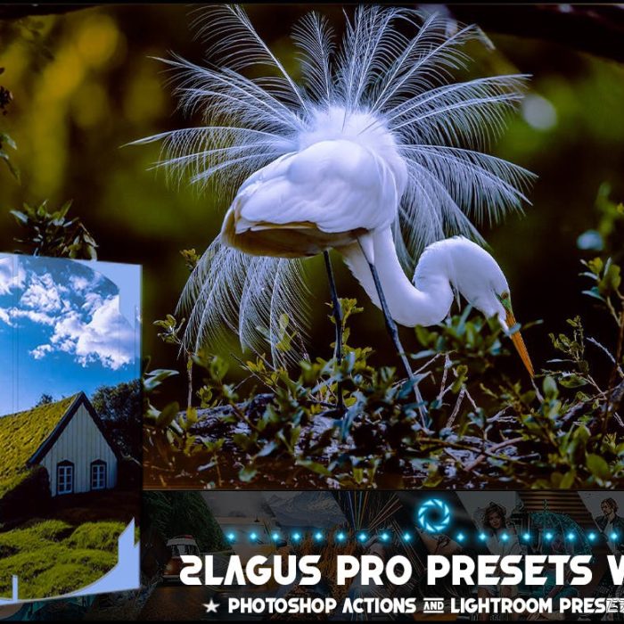 [风光LR预设]自然风光后期调色Lightroom预设 PRO Presets – V 85 – Photoshop & Lightroom
