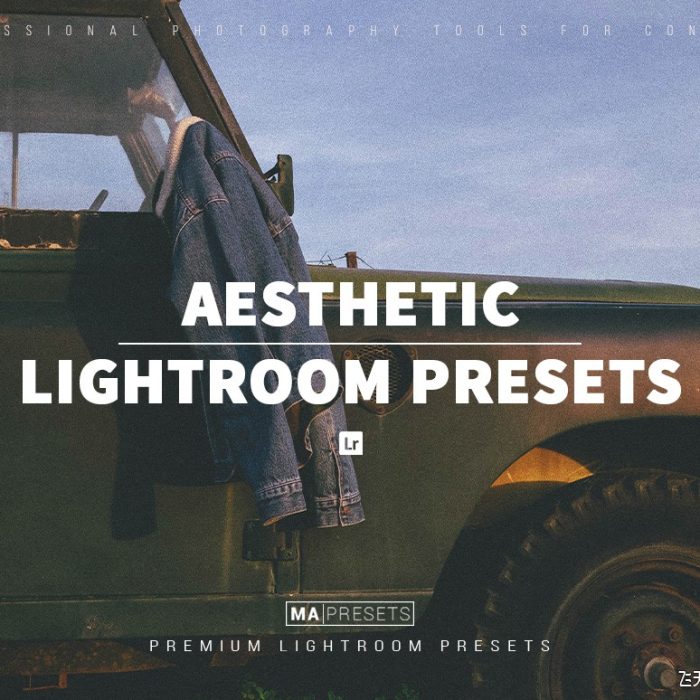[胶片LR预设]电影胶片美学lr预设 AESTHETIC FILM – Mobile & Desktop Lightroom Presets