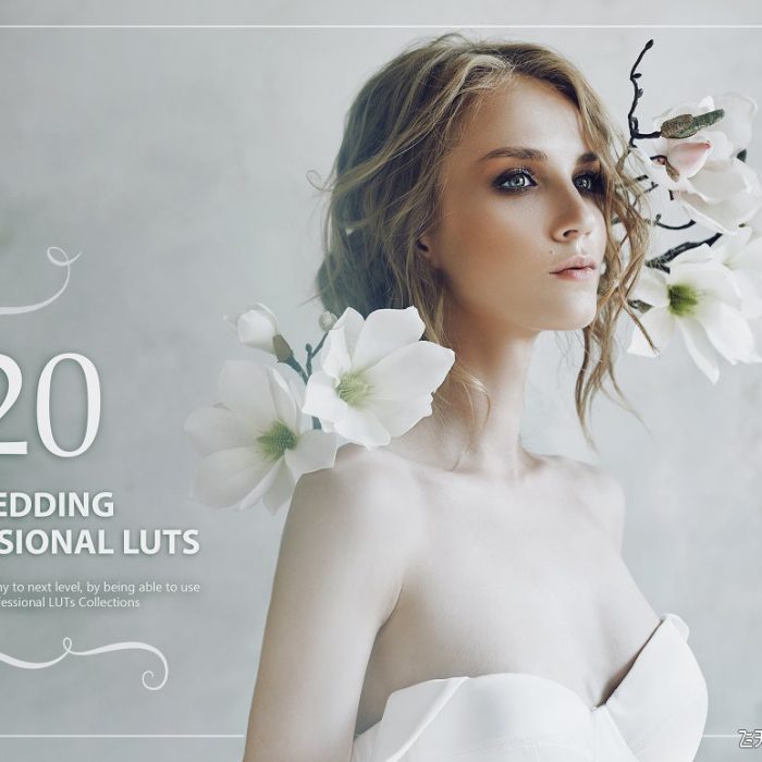 电影胶片色调旅拍婚礼人像LUTS预设 20 Wedding LUTs Pack