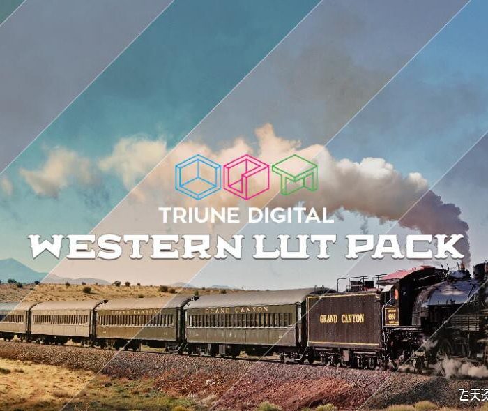 11个西部电影胶片LUT调色预设 Triune Digital – Hipster Luts
