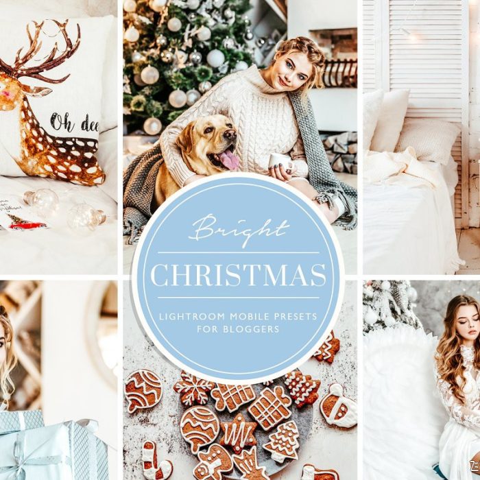 [人像LR预设]INS博客圣诞色调LR预设/移动APP预设Christmas Blogger Lightroom presets
