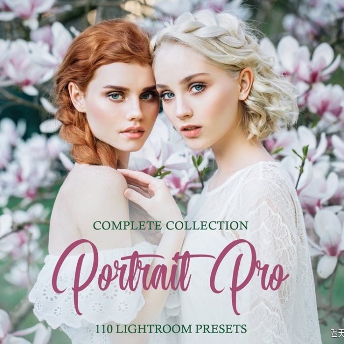 [人像LR预设]明亮通透时尚人像后期Lightroom预设/APP预设 Portrait Pro Complete Collection