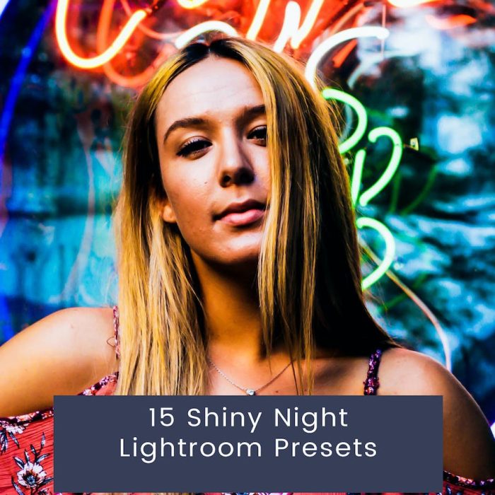 [风光LR预设]城市夜景风光人像Lightroom预设 15 Shiny Night Lightroom Presets