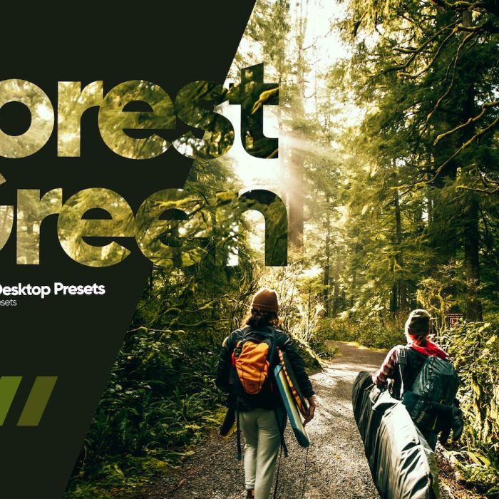 [风光LR预设]ARTA Presets – 徒步旅拍风光LR预设 Forest Green Presets for Lightroom