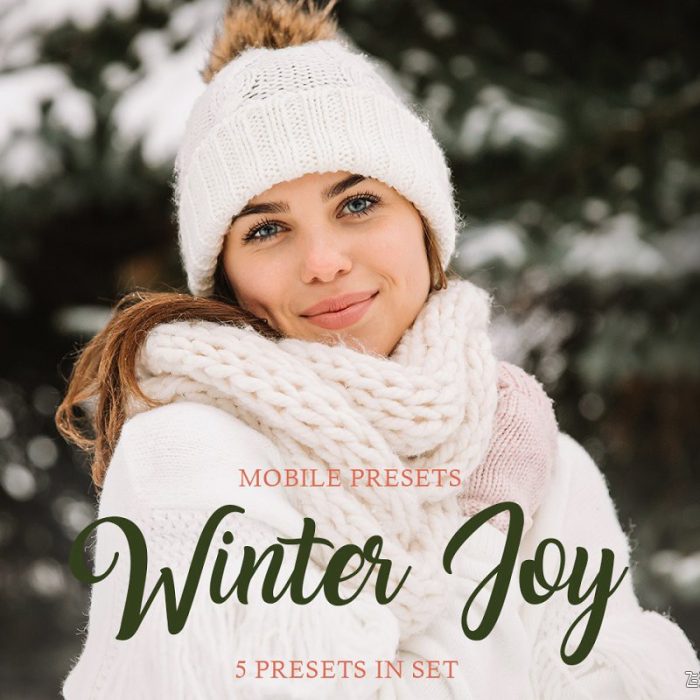 [人像LR预设]冬季通透人像风景LR预设/手机LR预设 Winter Joy Mobile Presets