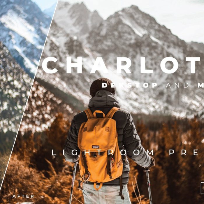 [旅拍LR预设]旅行街拍温暖胶片Lightroom预设与手机版APP预设 Charlotte Lightroom Preset