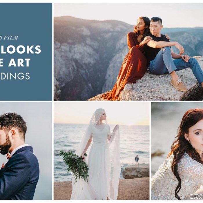 [婚礼LR预设]明亮通透艺术电影婚礼LR预设 FILMSLOOKS FINE Fine Art Weddings Light & Airy