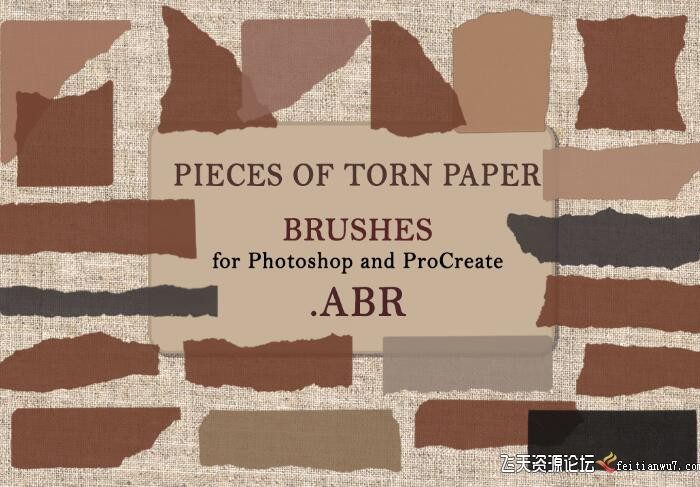 [特效创意笔刷][插件发布]高清晰撕碎的纸张PS笔刷 Pieces of Torn Paper. Brushes