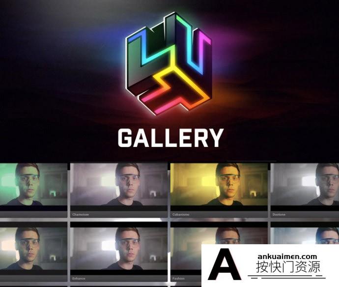 [FCPX发生器]FCPX插件-LUTS调色预设预览管理插件 LUT Gallery V1.1