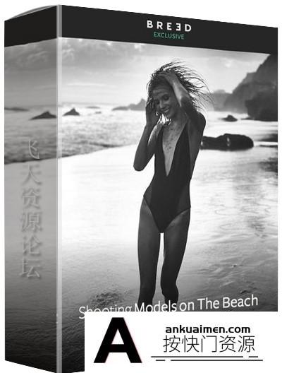 [人像摄影教程]BREED-Shooting Models on the Beach海滩泳装私房摄影教程-中文字幕