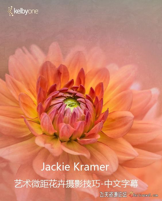 [风光摄影教程]KelbyOne-花卉摄影师Jackie Kramer艺术微距花卉摄影技巧-中文字幕