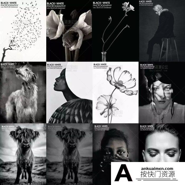 [电子书籍教程]Black White Photography 美国黑白摄影杂志2009-2020年合集收藏版(全110本)