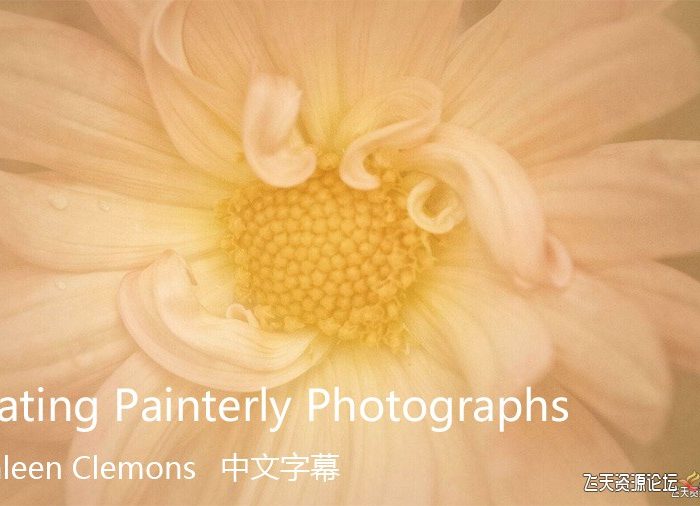 [产品静物摄影]凯瑟琳·克莱蒙斯(Kathleen Clemons)创作印象派绘画照片-中英字幕