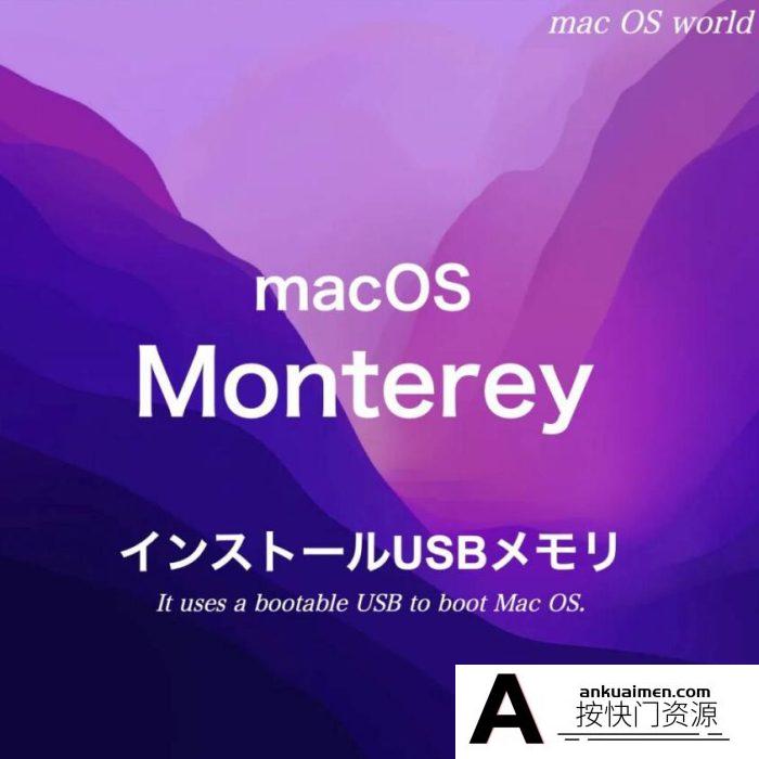 [系统工具]安装U盘镜像 USB_install macOS monterey 12.6.2.dmg
