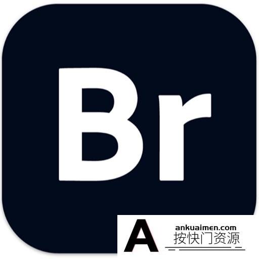 [Adobe软件]Adobe Bridge 2024 for Mac(br2024) v14.0.1 Intel中文破解版