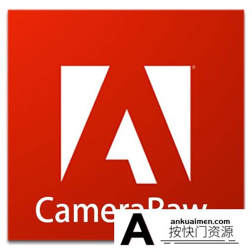 [Adobe软件]Adobe CameraRaw 15 for mac (ACR15.4.1) V15.4.1 中文版