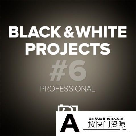 [PS插件]专业黑白滤镜Franzis BLACK WHITE projects 6 professional for mac 汉化版