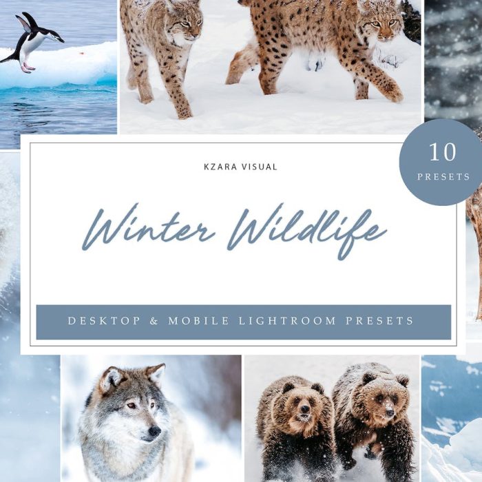 [风光LR预设]冬季野生动物Lightroom预设 Lightroom Presets – Winter Wildlife