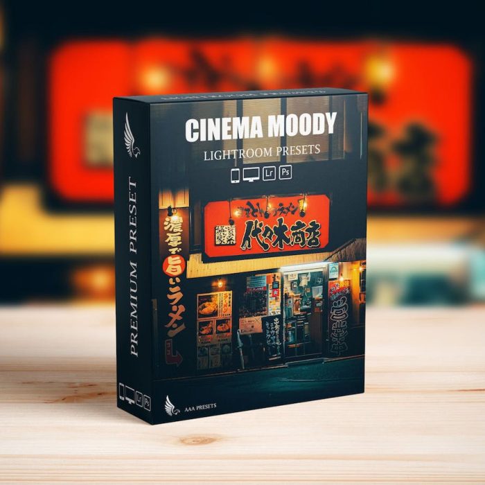 [风光LR预设]街头黑暗情绪电影LR预设 Street Cinematic Dark Moody Lightroom Presets